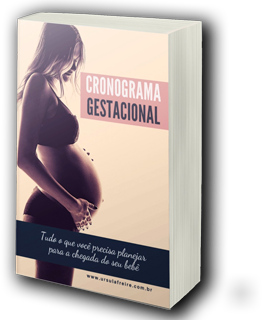 BÔNUS – E-Book Cronograma Gestacional